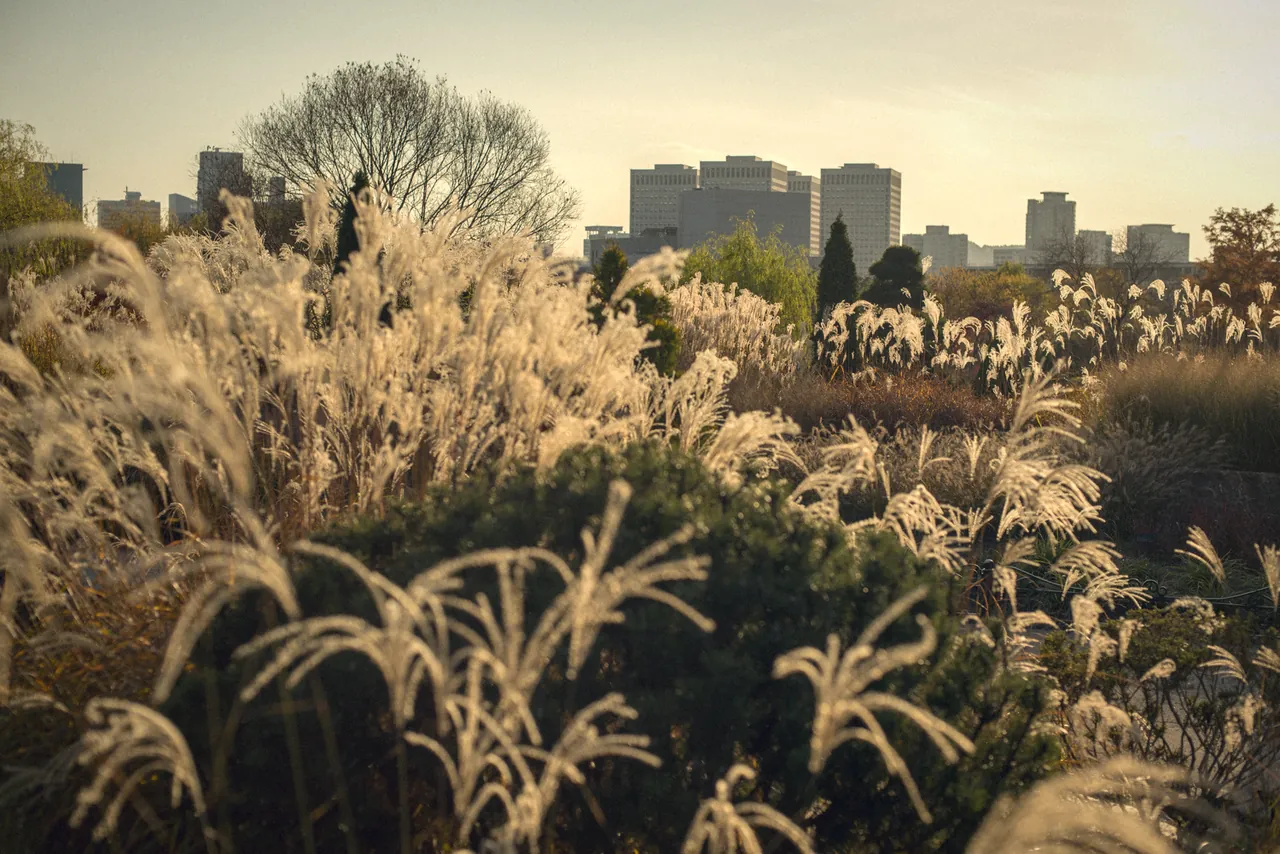 View from the East Garden in Daejeon Hanbat Arboritum, Daejeon, Korea.jpg
